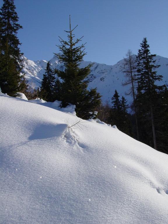 Gaestehaus Walch Fendels Luaran gambar