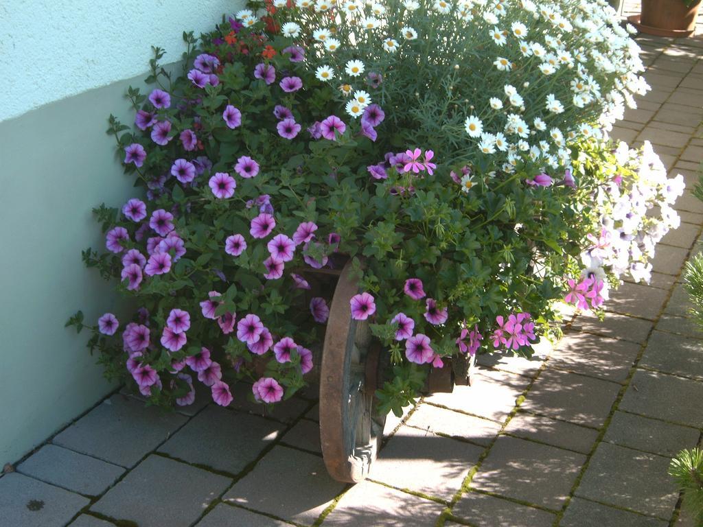 Gaestehaus Walch Fendels Luaran gambar